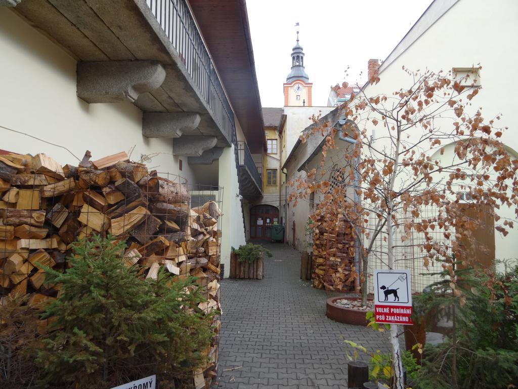 Primabyt Sušice 部屋 写真